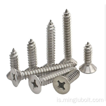 Ryðfrítt stál 304 410 Self Tapping Wood Screw